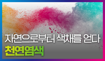 교육과정사진