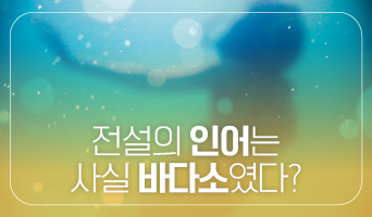교육과정사진