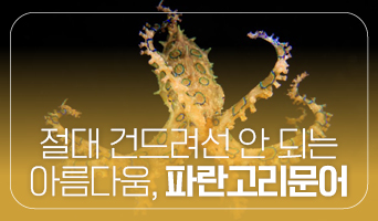 교육과정사진