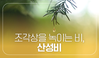 교육과정사진