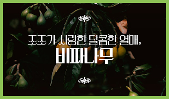교육과정사진