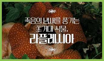 교육과정사진