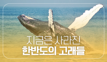 교육과정사진