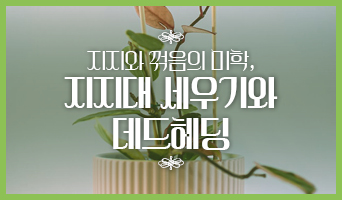 교육과정사진