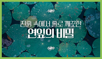 교육과정사진