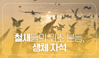 교육과정사진