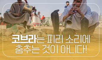 교육과정사진