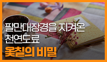 교육과정사진
