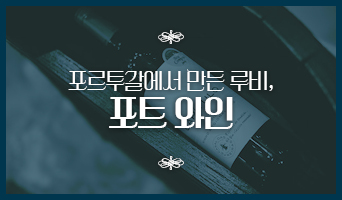 교육과정사진