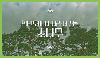 교육과정사진