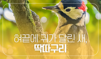 교육과정사진