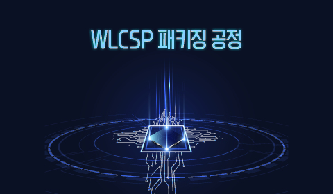 WLCSP 패키징 공정