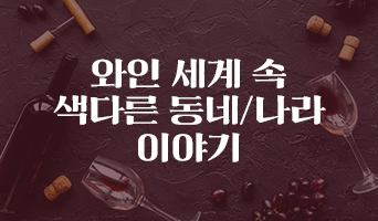 교육과정사진