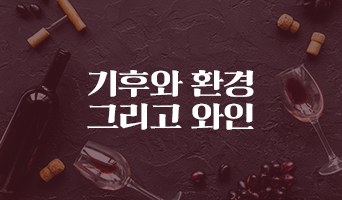 교육과정사진